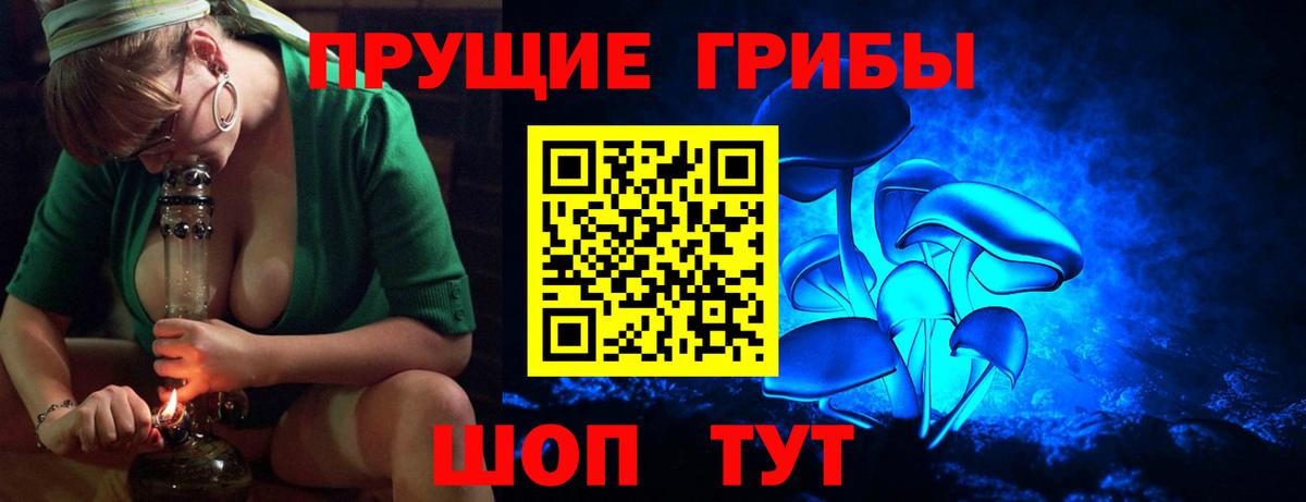 Галлюциногенные грибы Psilocybe Магнитогорск
